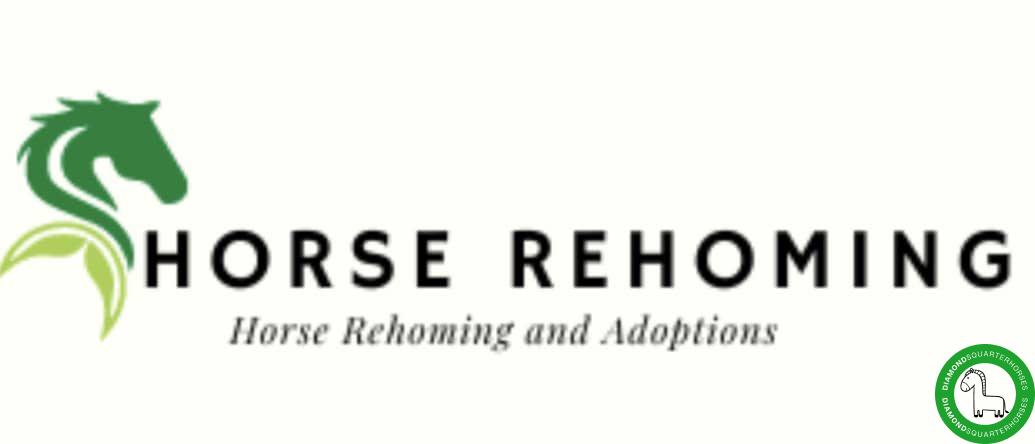 horsesforrehoming.shop